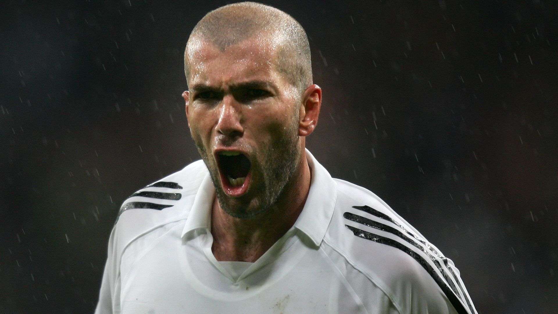 英联杯冠军 英联杯冠军